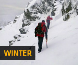 click-here-for-winter-courses